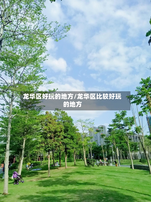 龙华区好玩的地方/龙华区比较好玩的地方-第2张图片