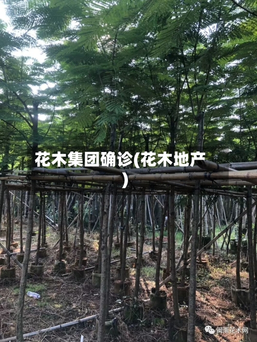 花木集团确诊(花木地产)-第2张图片