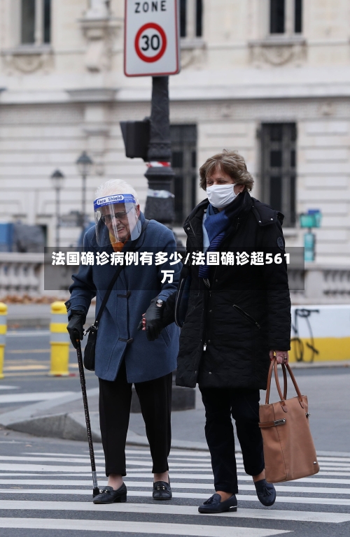 法国确诊病例有多少/法国确诊超561万