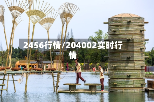2456行情/204002实时行情-第1张图片