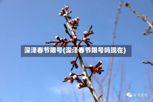 深泽春节限号(深泽春节限号吗现在)