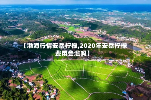 【渤海行情安岳柠檬,2020年安岳柠檬费用会涨吗】