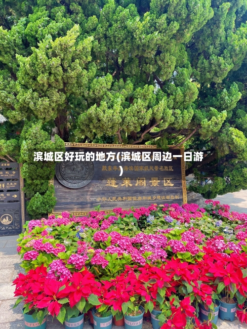 滨城区好玩的地方(滨城区周边一日游)