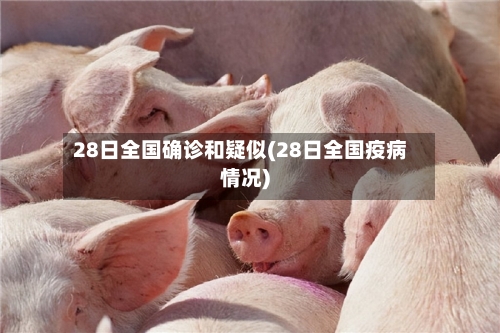 28日全国确诊和疑似(28日全国疫病情况)-第2张图片