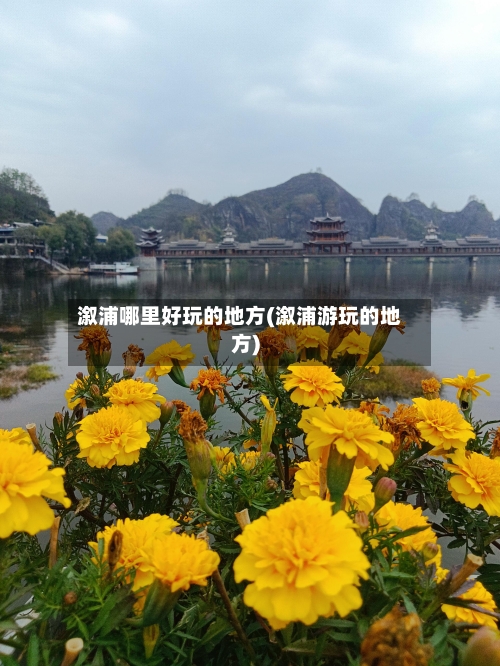溆浦哪里好玩的地方(溆浦游玩的地方)-第2张图片