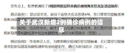 关于武汉新增2例确诊病例的信息-第3张图片
