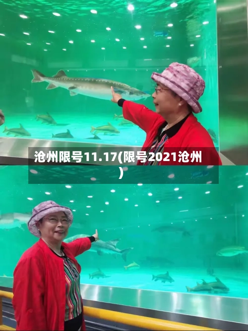 沧州限号11.17(限号2021沧州)-第2张图片