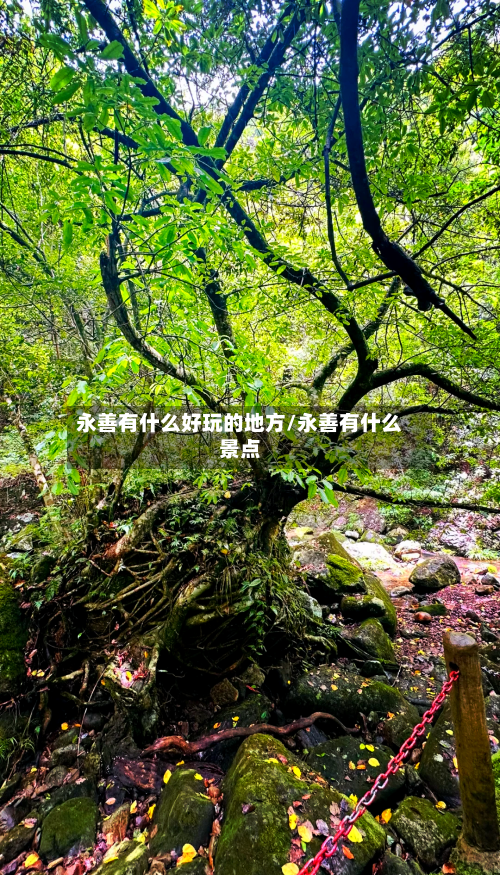 永善有什么好玩的地方/永善有什么景点-第2张图片